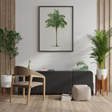 Areca Monostachya