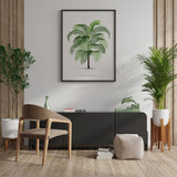 Cocos Weddeliana