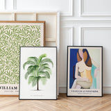 Cocos Weddeliana
