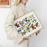 Butterflies 2