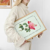 Flower Series - Rosa Mundi Rosa Gallica