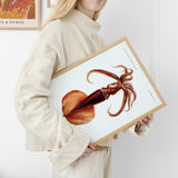 Mastigoteuthis Magna Blæksprutte