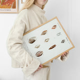 Mollusks