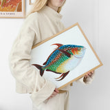 Rainbow Fish