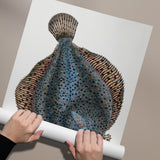 Flatfish