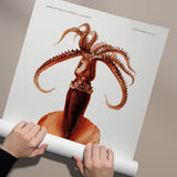 Mastigoteuthis Magna Blæksprutte
