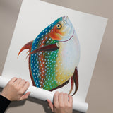 Rainbow Fish