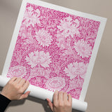 William Morris Chrysanthemum (Pink Edit)