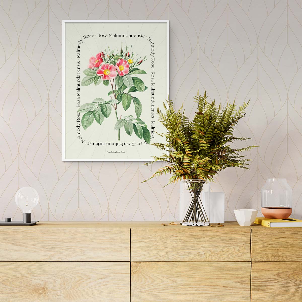 Plakat med botanisk illustration af en Malmedy Rose, hængende på en væg over en trækommode med en vase med grønne planter.