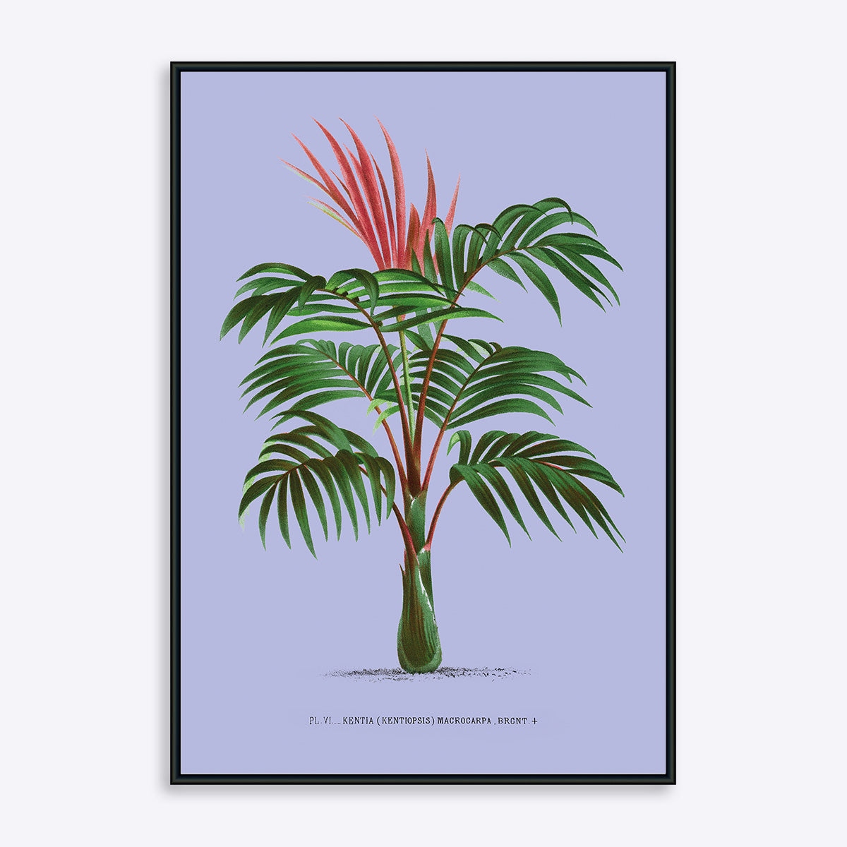 Plakat af palmetræ på lilla baggrund