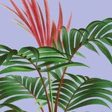 Close-up af palmetræ på lilla baggrund