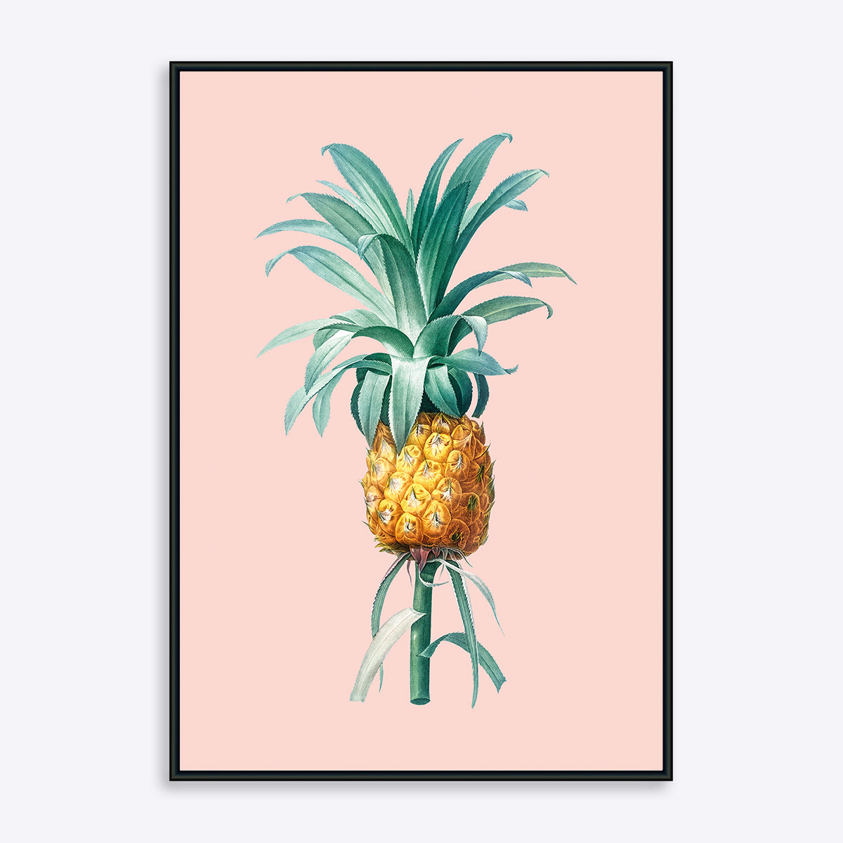 Nudefarvet plakat af ananasplante i sort ramme