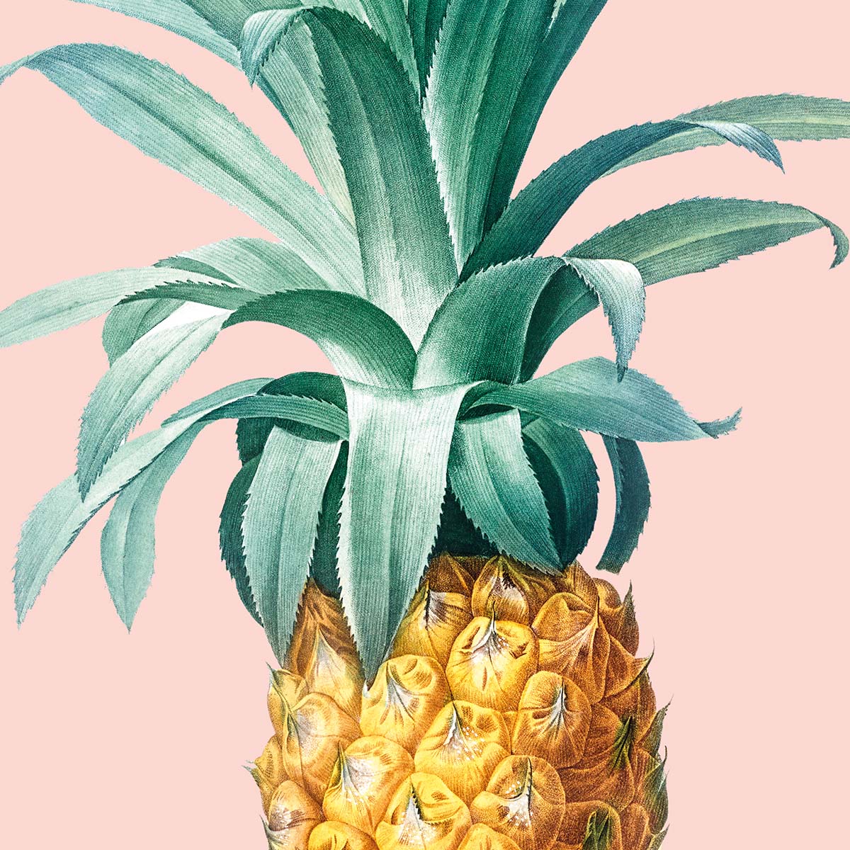 Close-up af plakat med ananas på pastelfarvet baggrund