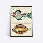 Exotic Fish illustration plakat i ramme