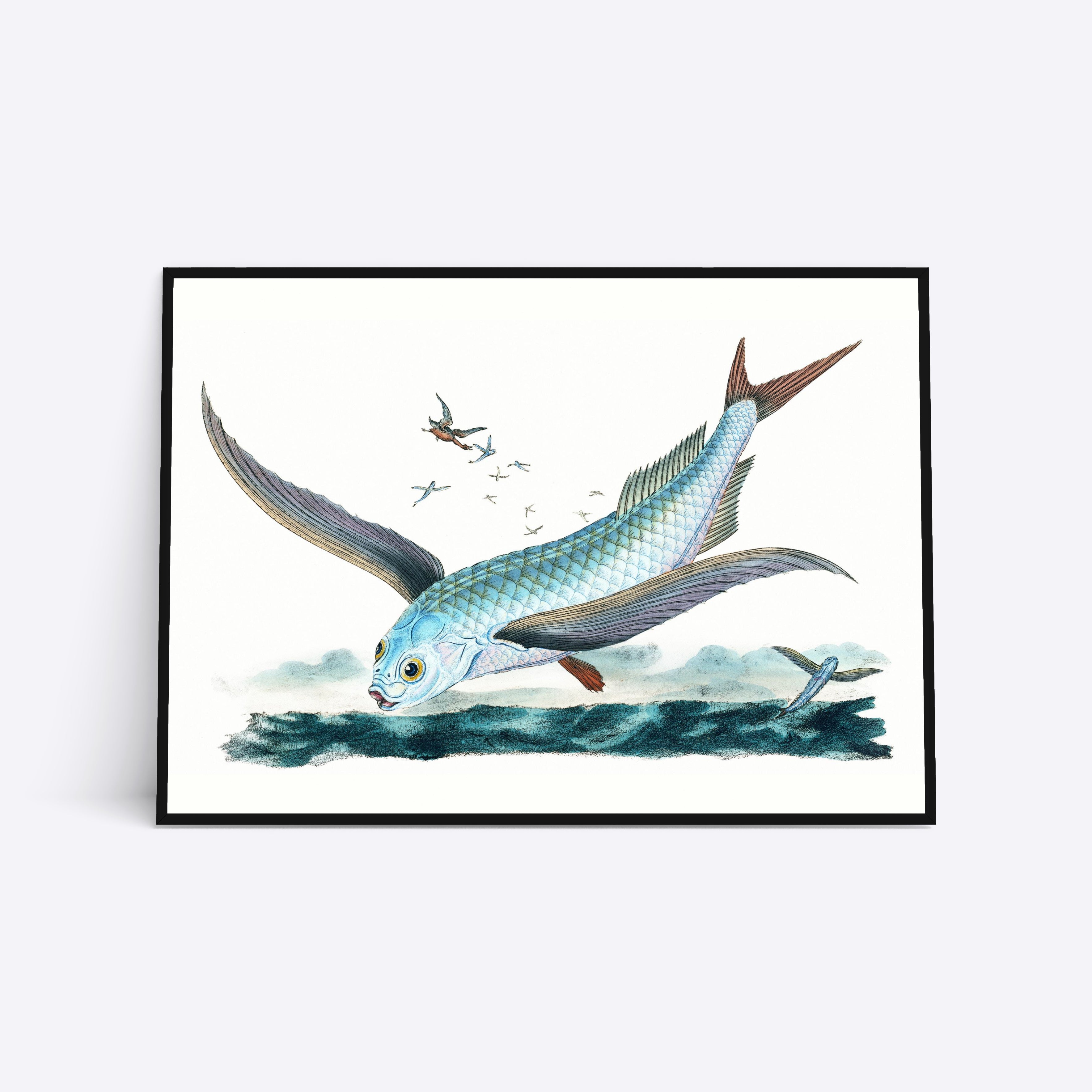 Flying Fish Vol. 2 illustration plakat i ramme