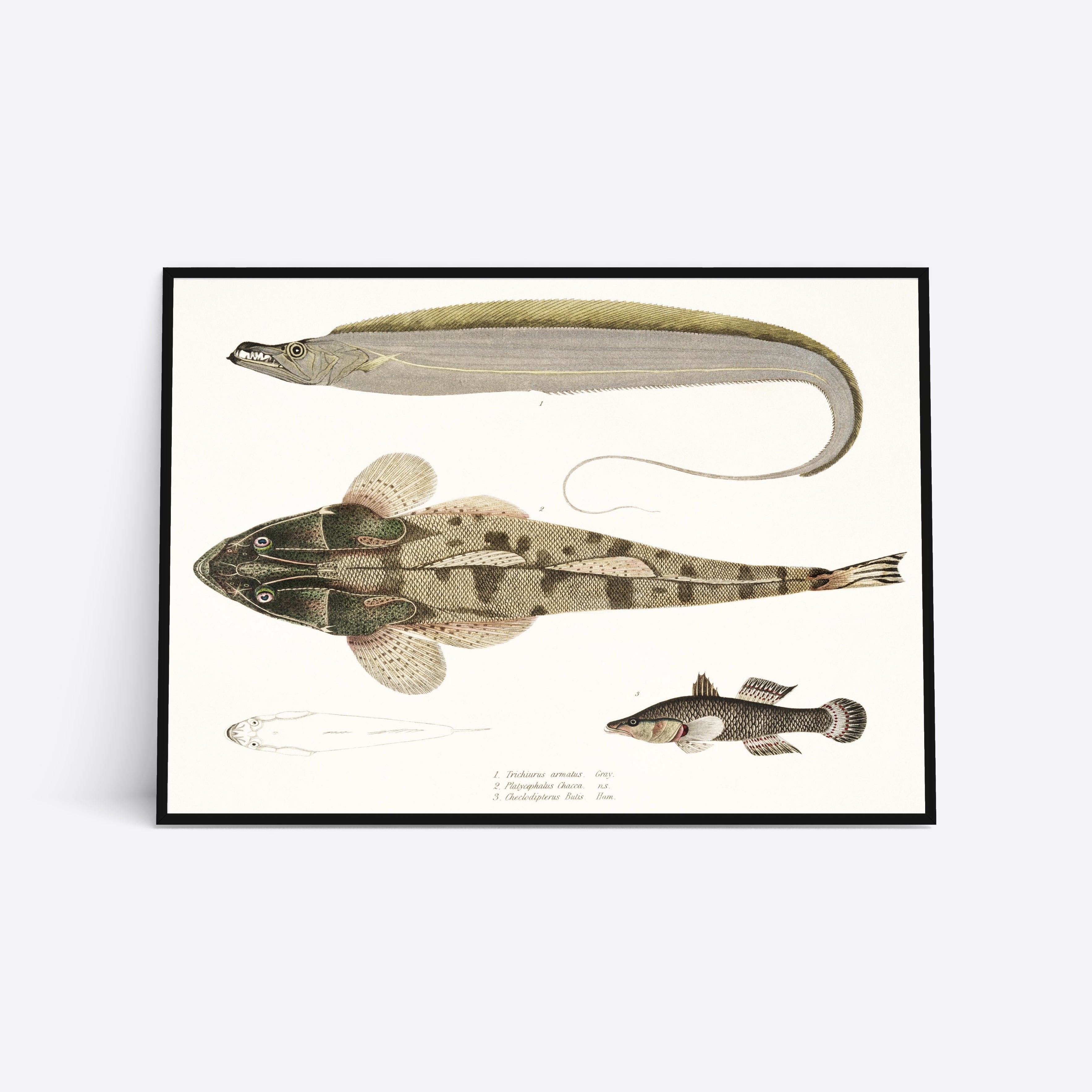Earth Colored Fish illustration plakat i ramme