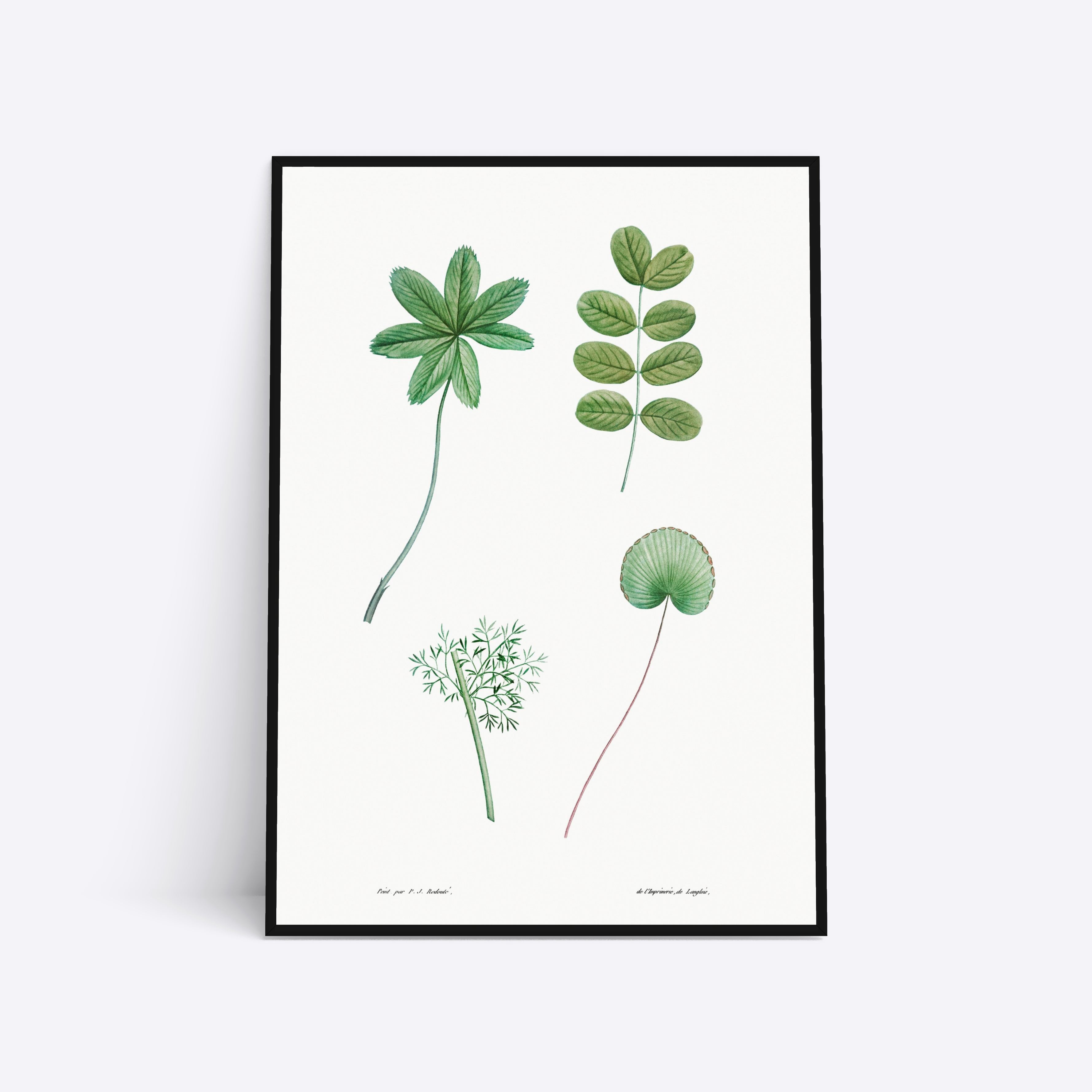 Plants plakat i ramme